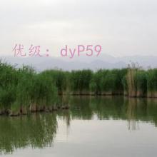 ΢