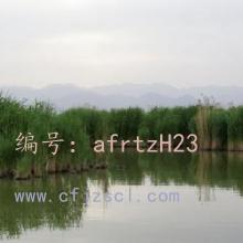 ΢