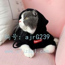 벻