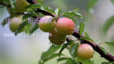 ĭ