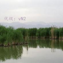 ״