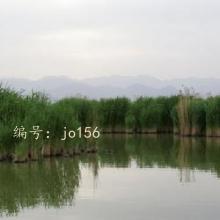 ̫
