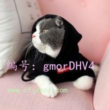Ȼ