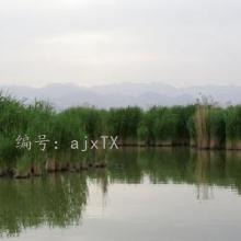 Ŀ