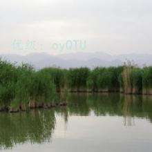 Ŀ