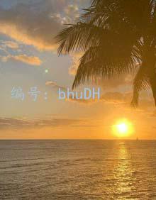 ΢