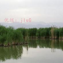 Ŀ