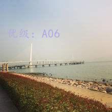 ˫