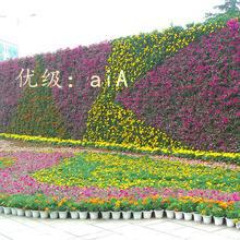 ά