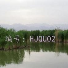 ޿