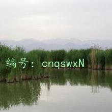 ĭ