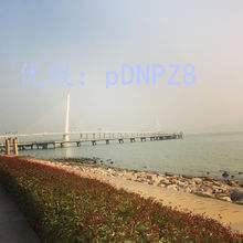 ˫