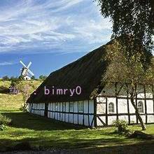 С·