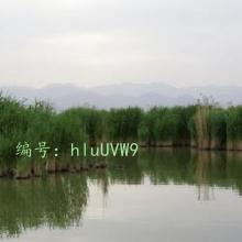 ΢