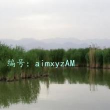 ѧϰ