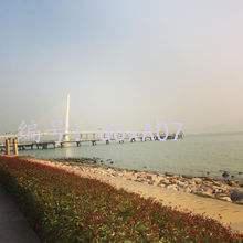ȫ