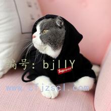 벻