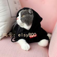 벻